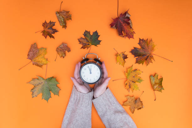 istock Above view at hands holding alarm clock 845987974