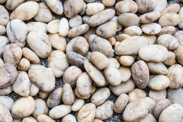 istock Gravel texture. Gravel background. Stones texture. 845989262