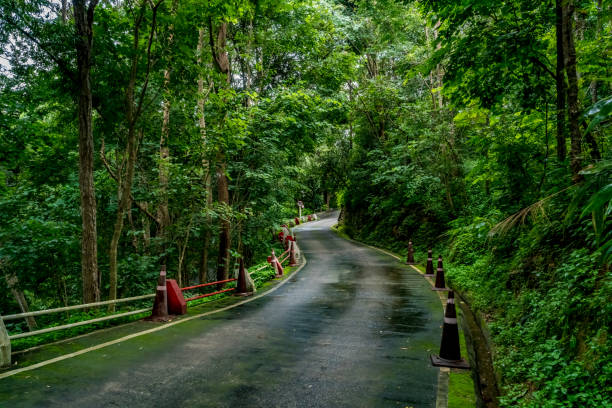 istock Asphalt country road 845992714
