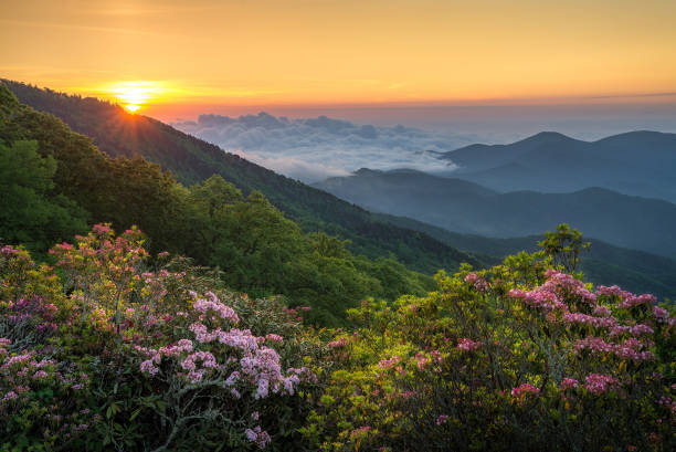 dawn breaks over the blue ridge mountains - appalachia mountains imagens e fotografias de stock