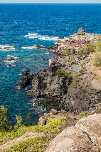 istock Rocky Maui Shoreline 2 846014214