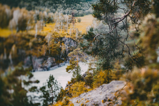 カトゥニ川近くアルタイ山脈の秋の風景 - tilt shift lens landscape mountain range overcast ストックフォトと画像