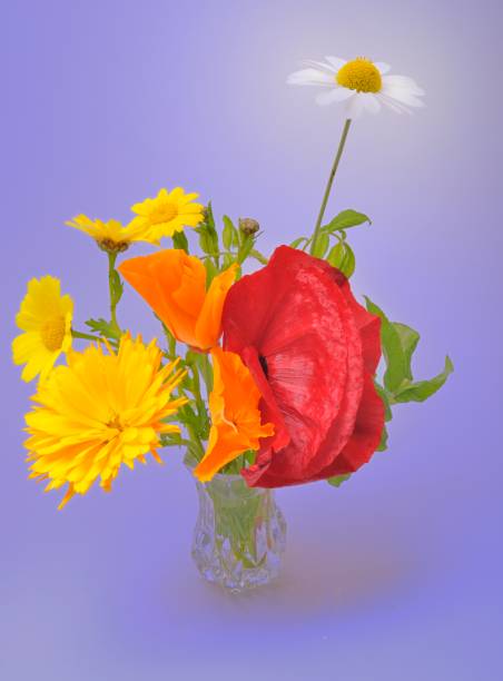 istock Flowers arranged in a vase. 846019200