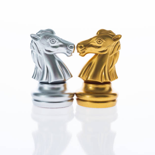 istock Two horses standing face to face 846029958