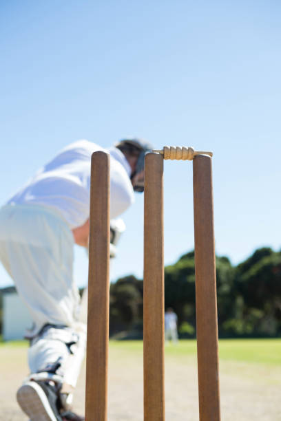 istock Close up of stump by batsman standing on field 846032564