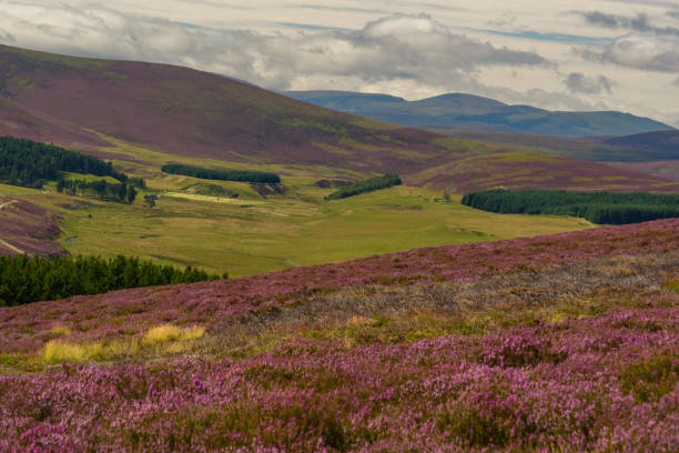 istock View of Cairngorms National Park 846033294