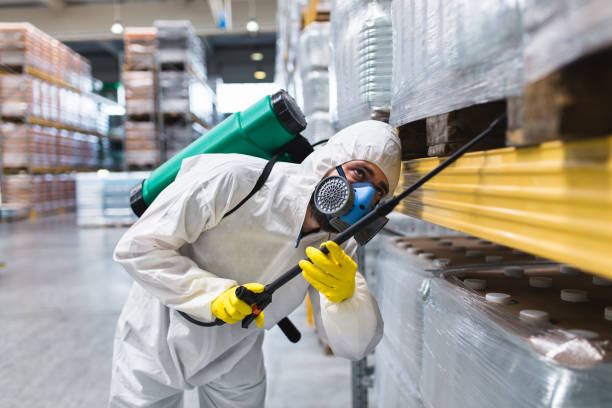 Industrial pest control stock photo