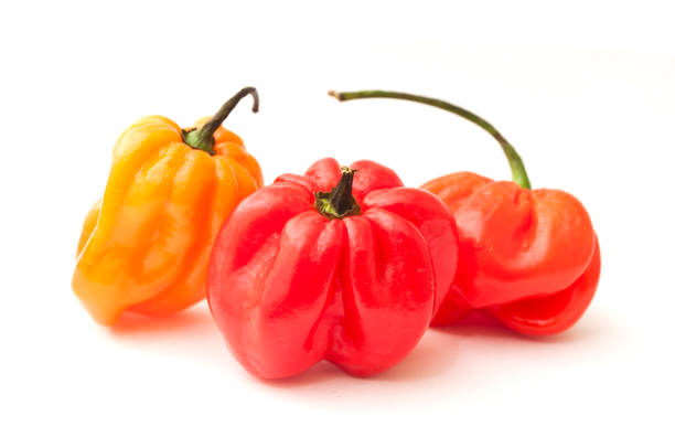 istock Jamaican peppers in white background 846040232