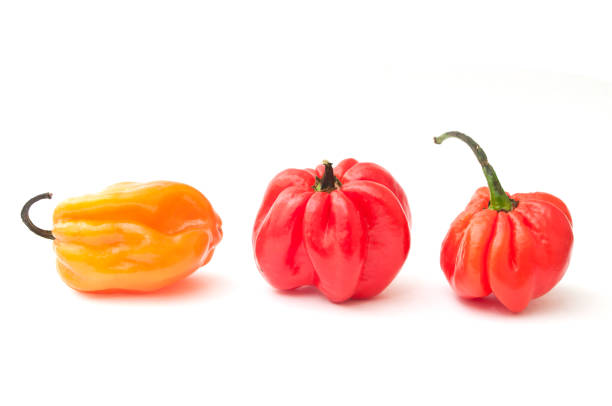 Jamaican peppers in white background