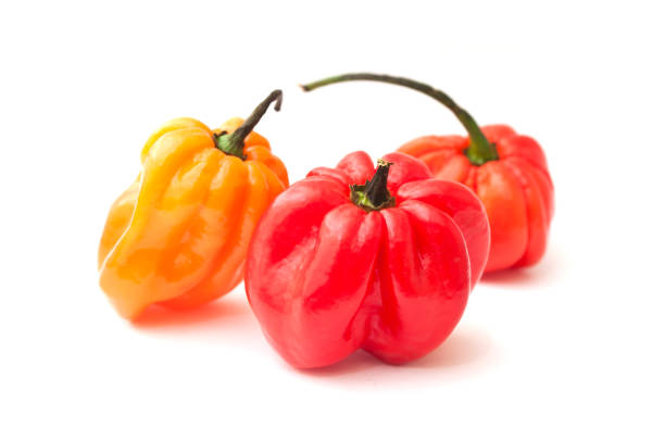 istock Jamaican peppers in white background 846043744