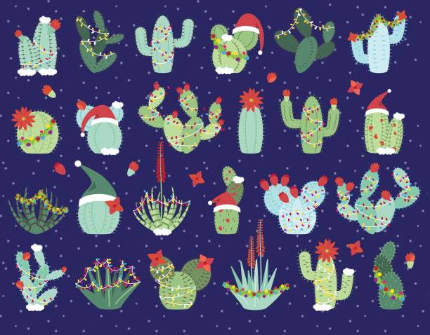 illustrations, cliparts, dessins animés et icônes de cactus sur le thème de noël ou des vacances et succulente collection - cactus flower prickly pear cactus prickly pear fruit