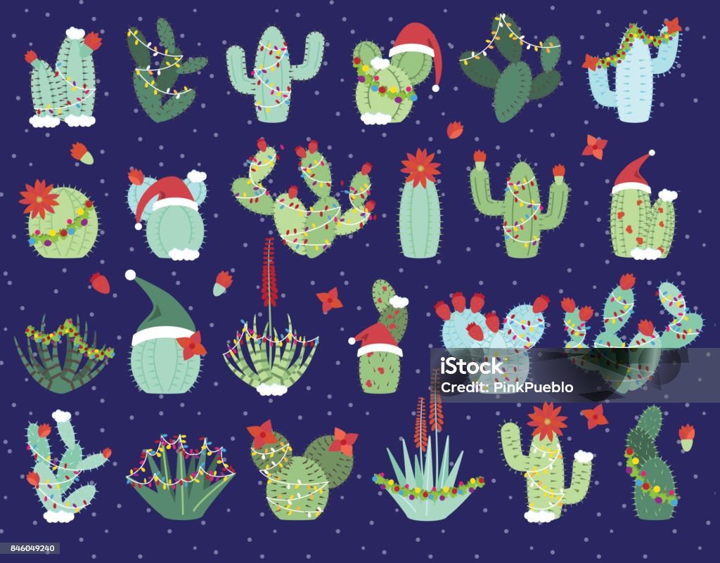 Christmas or Holiday Themed Cactus and Succulent Collection Christmas or Holiday Themed Cactus and Succulent Collection. No transparencies or gradients used. Desert Area stock vector