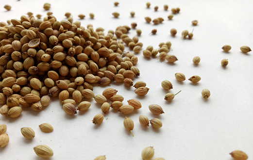 Coriander Seeds herbal and natural food spice ingredient