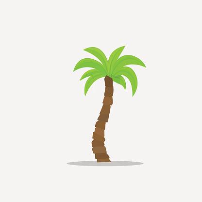 Ilustración de Palmeras En Estilo De Dibujos Animados Aislados En Blanco De Fondo Ilustración Vectorial Árbol Tropical Verano La Planta En La Naturaleza Para Sus Proyectos y más Vectores Libres de Derechos Ilustración de Palmeras En Estilo De Dibujos Animados Aislados En Blanco De Fondo Ilustración Vectorial Árbol Tropical Verano La Planta En La Naturaleza Para Sus Proyectos y más Vectores Libres de Derechos
