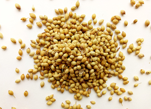 Coriander Seeds herbal and natural food spice ingredient