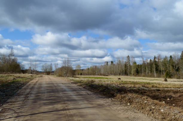 istock country road in forest 846054322