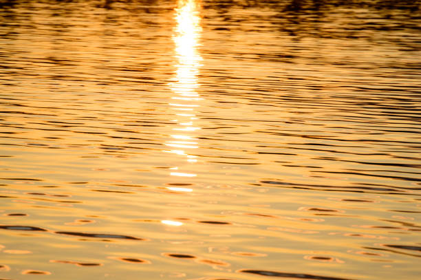 istock Reflections in the calm lake water 846054386