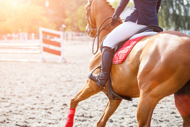 young girl on sorrel horse galloping on her course - photography running horizontal horse imagens e fotografias de stock