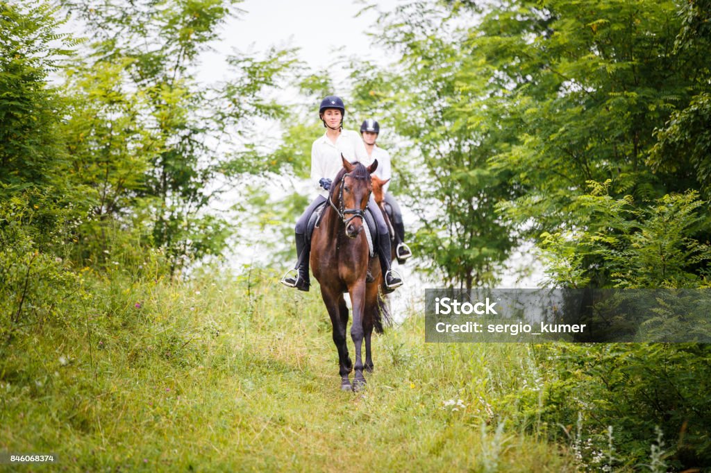 Mujer dos jinete a caballo bajando de la colina - Foto de stock de Andar libre de derechos