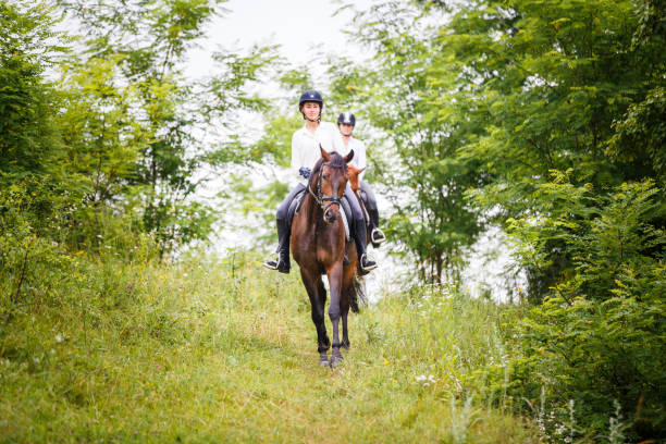 Young female riding a blanket covered stallion around the countryside on a cold winter morning. Carefree woman horseback riding around the misty nature at sunrise. Riding in beautiful rural landscape.