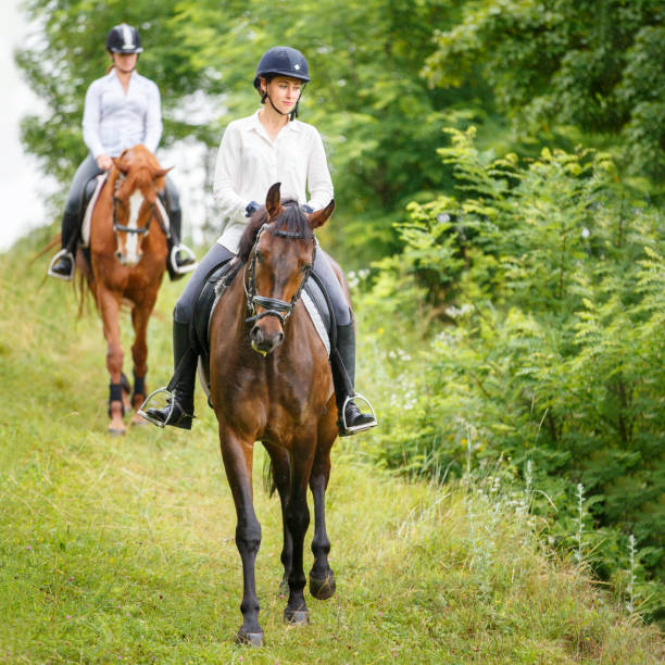 istock Two rider woman on horses going down from the hill 846068540