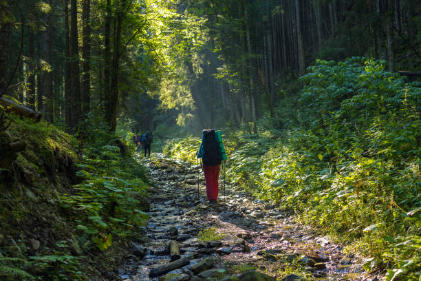 istock Group of travelers, with backpacks, climbs a mountain road 846069836