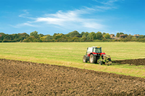 istock farming in essex uk 846074620