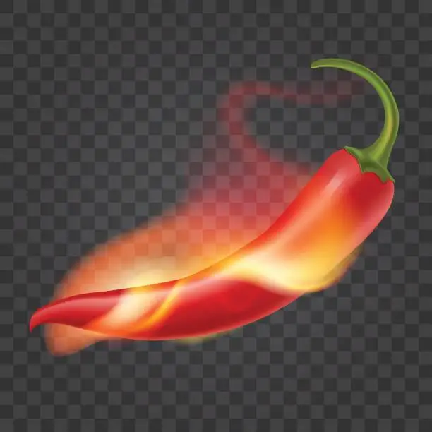 Vector illustration of Hot chili pepper on fire. Flame around red pepper. Isolated on transparent background. Realistic illustration. Vector eps 10.