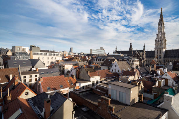Top view at roofs, Brussels City Town Hall and blue sky with clouds Aerial view at Brussels Town Hall tower and old town tiled roofs, Brussels, Belgium houses in brussels stock pictures, royalty-free photos & images