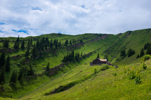 istock Bavarian Alps with mountain view and meadows in the Allgau 846099046