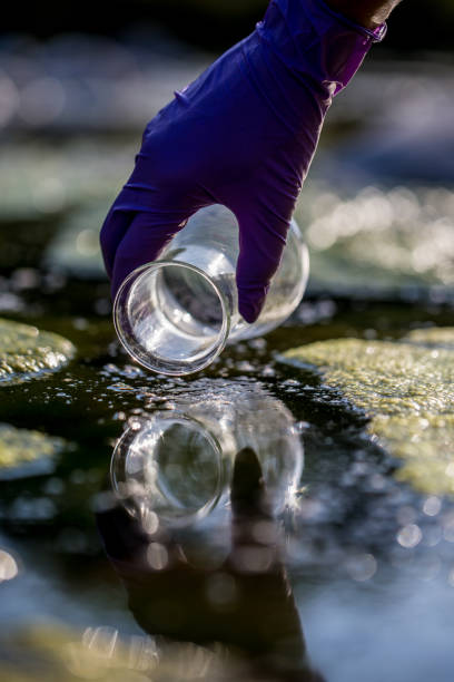 ecologyst nimmt eine wasserprobe - algae slimy green water stock-fotos und bilder