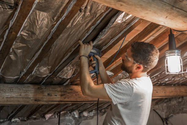 trabajo de aislamiento casero - insulation roof attic home improvement fotografías e imágenes de stock