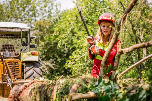 istock Young Lumberjack Woman Chopping a Tree Branch 846118060