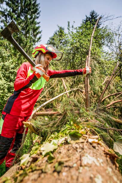 istock Young Lumberjack Woman Chopping a Tree Branch 846118072