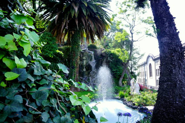 istock The way to Capilla Del Cerrito. 846118282