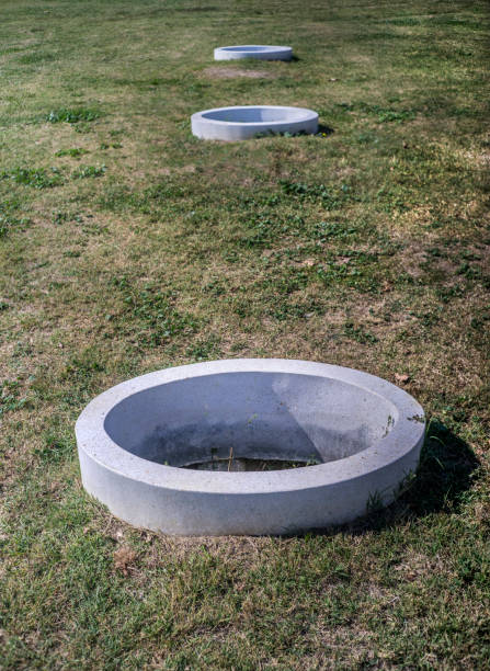 istock Protective concrete circular fence around the trees 846127732