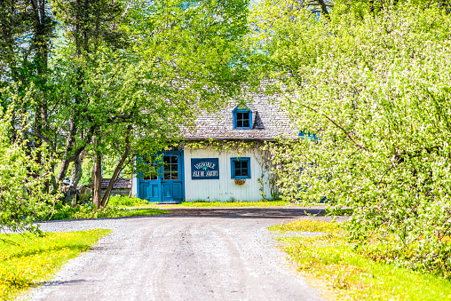 Ile D'orleans: Blue house with roadin summer landscape French countryside with Vignoble vineyard or winery sign and dirt road