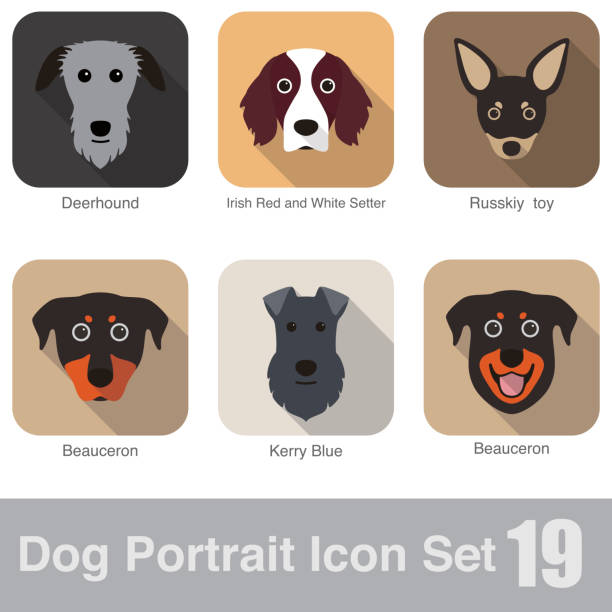 Dog, animal face character icon design set Dog, animal face character icon design set, vector russkiy toy stock illustrations