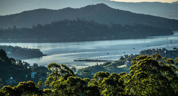 istock muir beach on pacific ocean coast in california 846154732