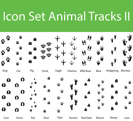 Icon Set Animal Tracks II with 20 icons for the creative use in graphic design