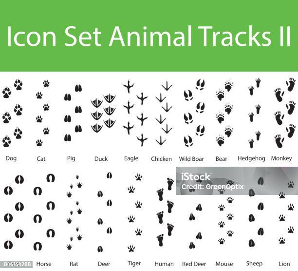 Icon Set Animal Tracks Ii Stock Illustration - Download Image Now - Animal Track, Footprint, Mouse - Animal