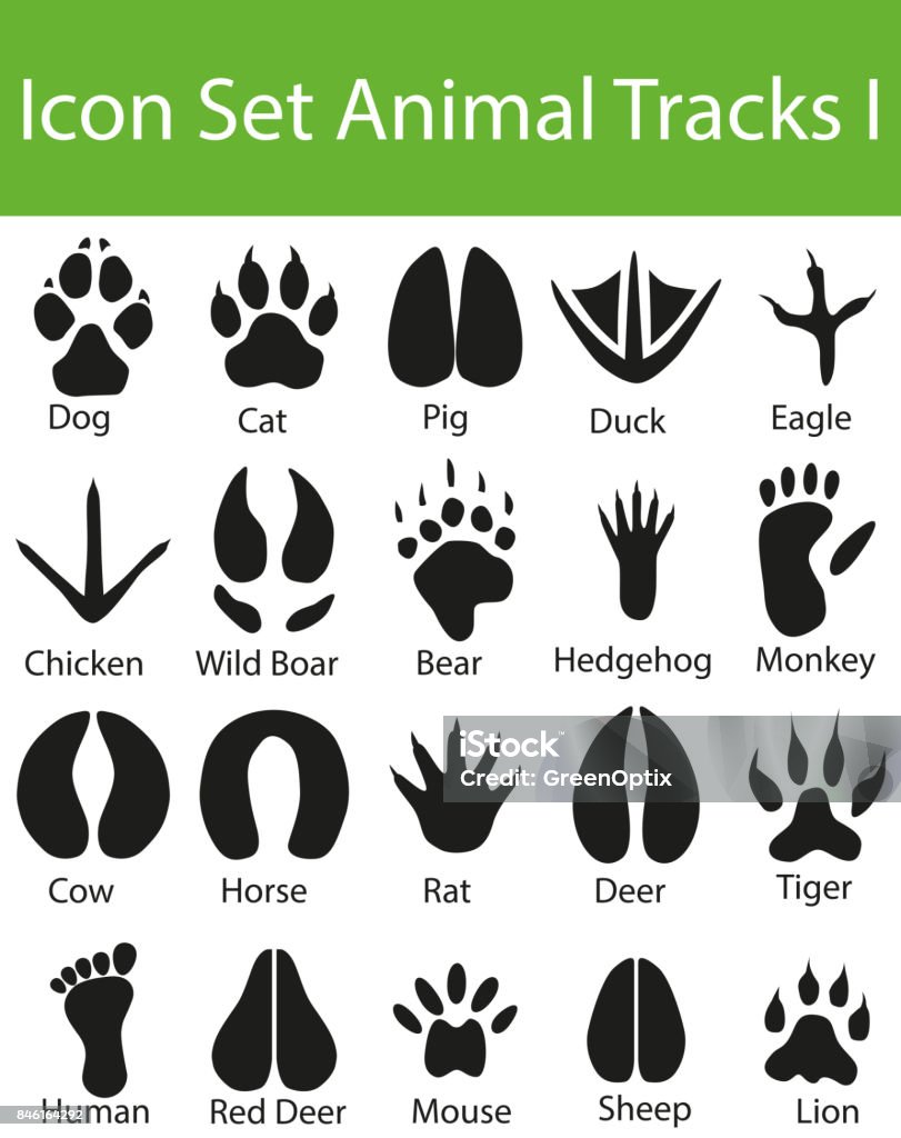 Icon Set Animal Tracks I Icon Set Animal Tracks I with 20 icons for the creative use in graphic design Adult stock illustration