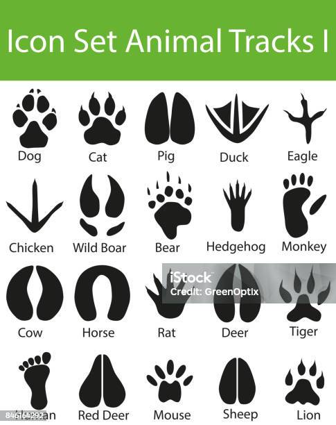 Icon Set Animal Tracks I Stock Illustration - Download Image Now - Adult, Animal Body Part, Animal Track