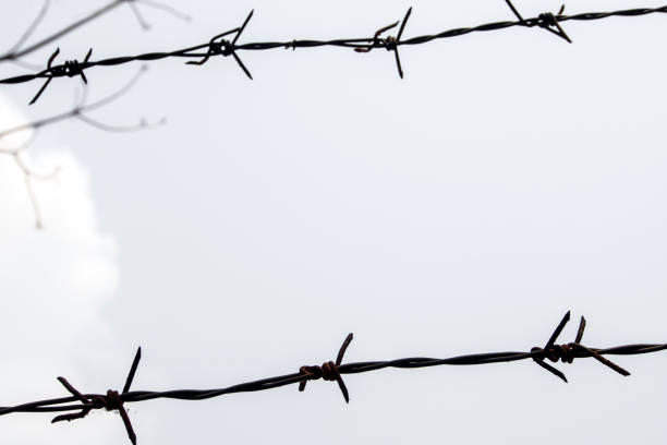 istock Old and rusty barbed wire on the fence 846164986