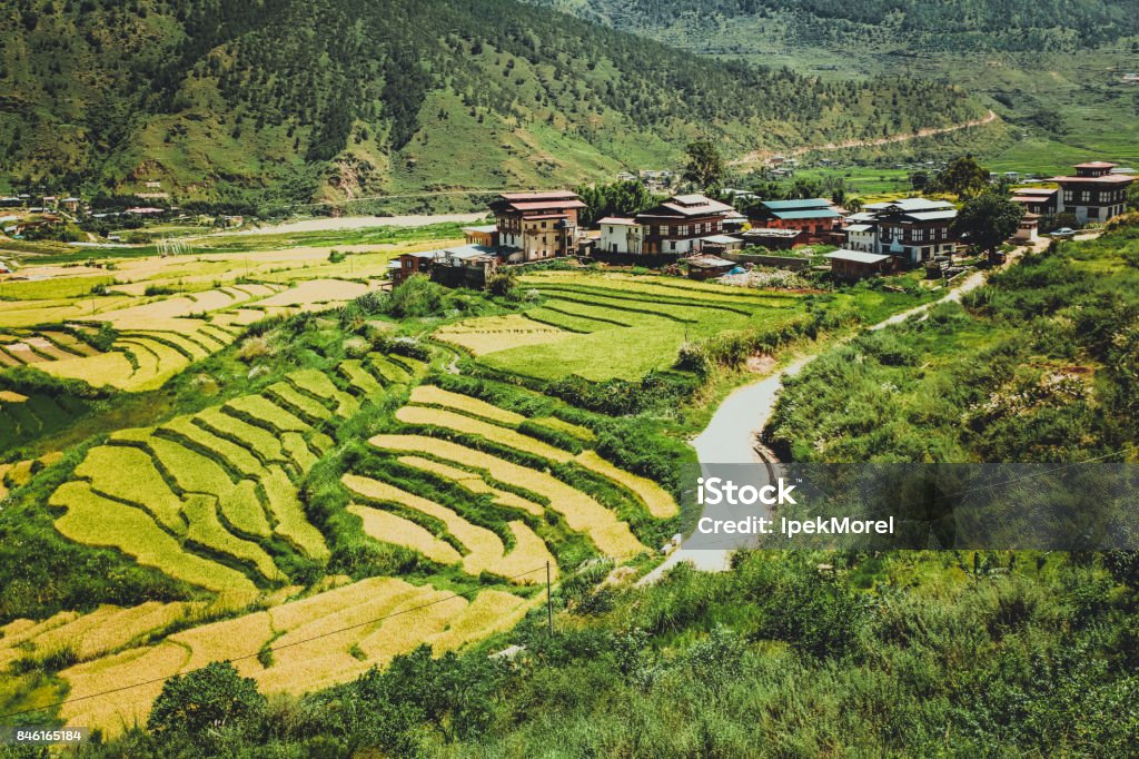 Bhutanese village and terraced field at Punakha, Bhutan Bhutan, Punakha, panoramic view of valley from Lobesa towards Wangdue Phodrang. Rice crops between the rivers Pho Chhu and Mo Chhu. Bhutan Stock Photo