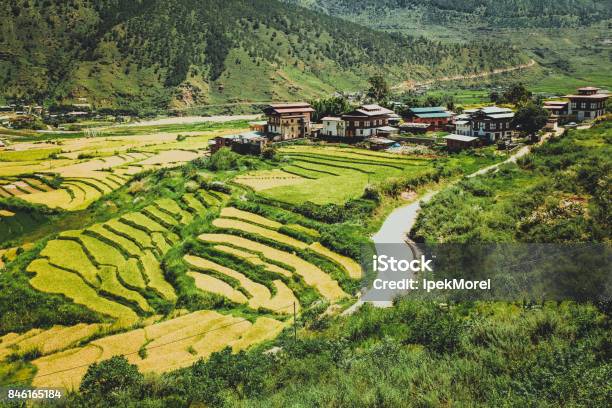 Bhutanese Village And Terraced Field At Punakha Bhutan Stock Photo - Download Image Now