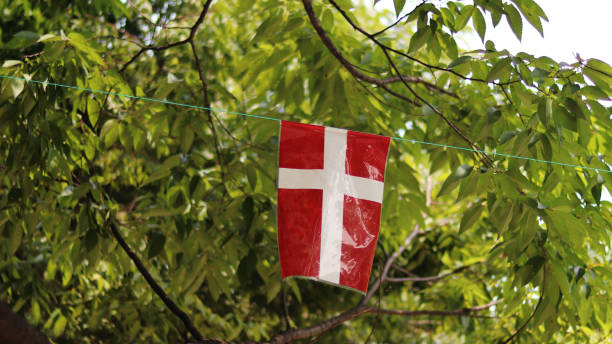 istock windblown flags of all nations 846165200