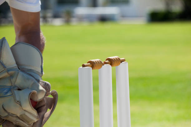 istock Cropped image of wicketkeeper catching ball behind stumps 846167762