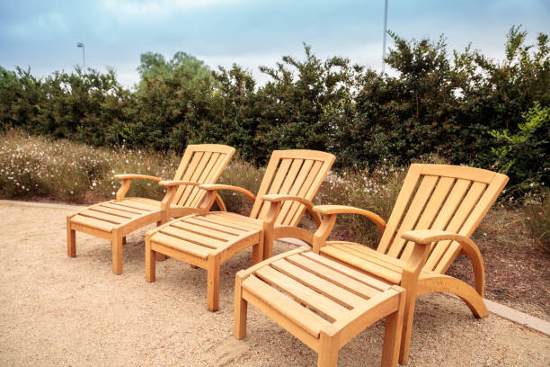 istock Wood patio lounge chairs in the backyard 846168330