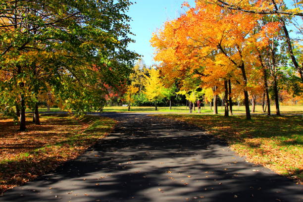 istock Park in Sapporo in autumn 846174712